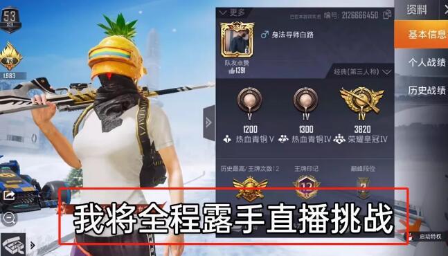 和平精英《诛仙》辅助